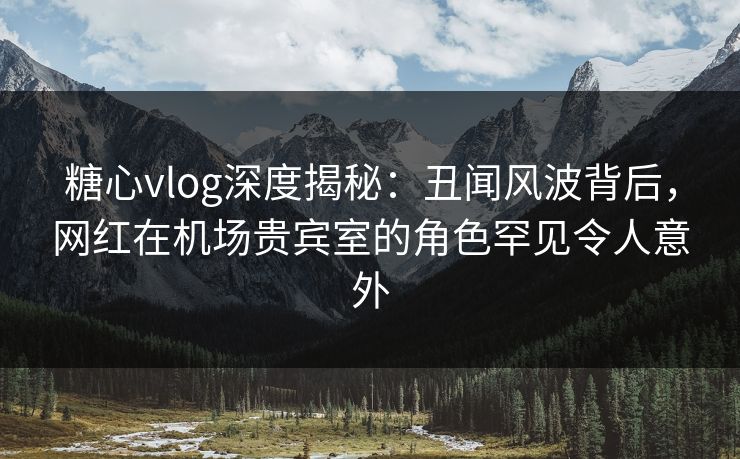 糖心vlog深度揭秘：丑闻风波背后，网红在机场贵宾室的角色罕见令人意外