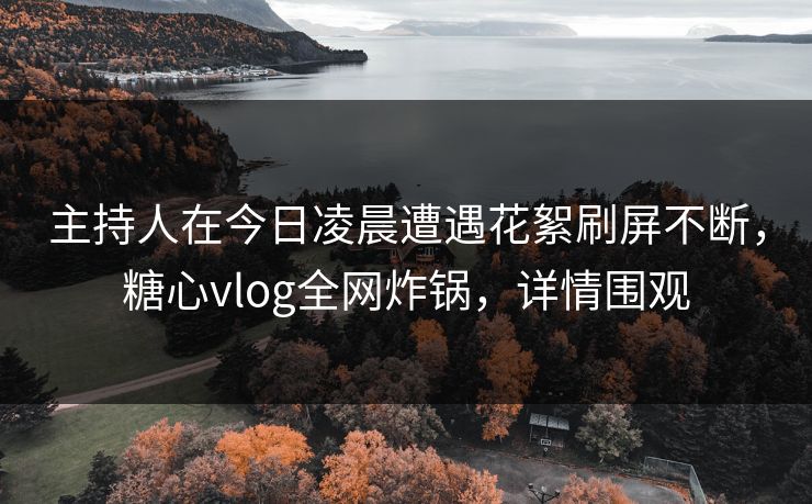 主持人在今日凌晨遭遇花絮刷屏不断，糖心vlog全网炸锅，详情围观
