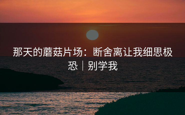 那天的蘑菇片场：断舍离让我细思极恐｜别学我